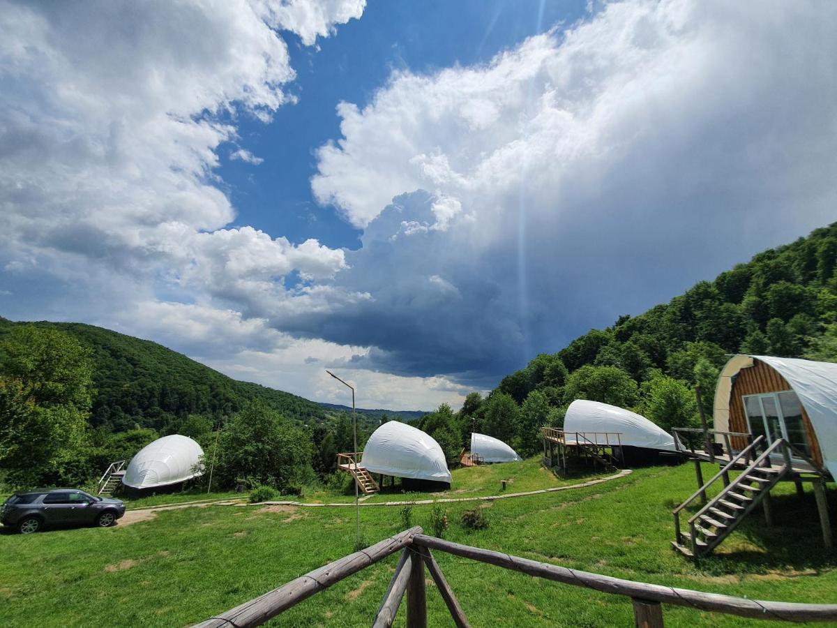 Sunrise Glamping Retreat Hotel Galesu Eksteriør billede