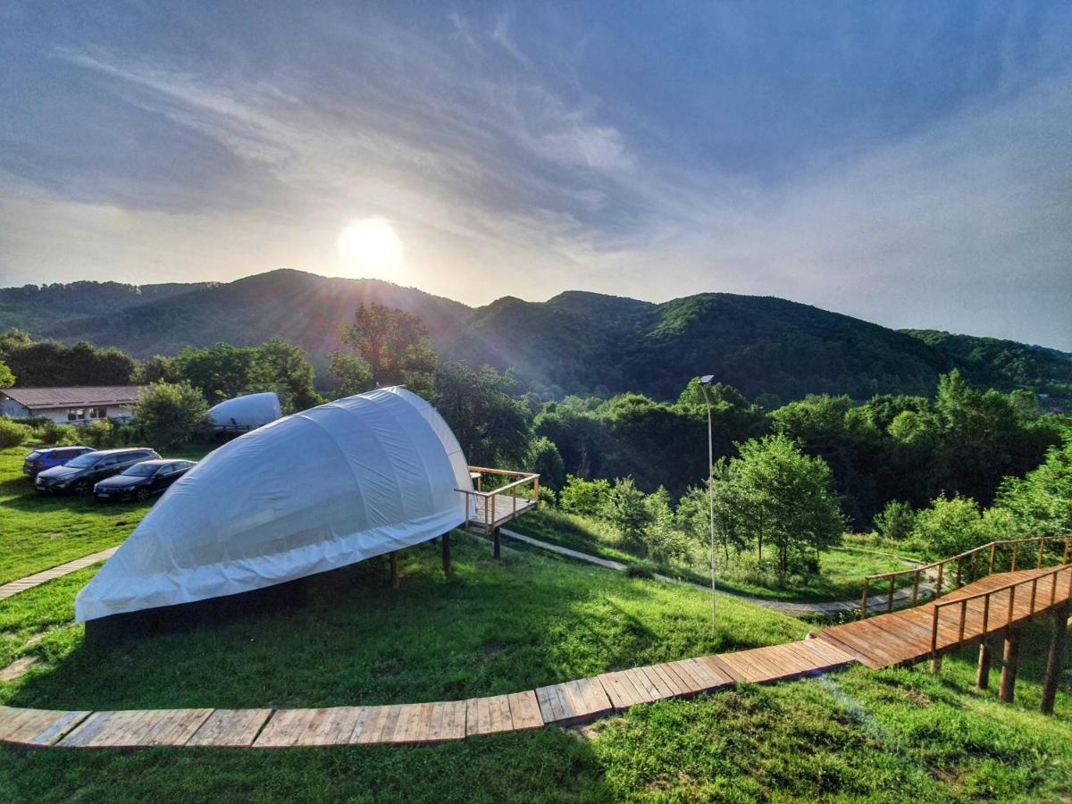 Sunrise Glamping Retreat Hotel Galesu Eksteriør billede
