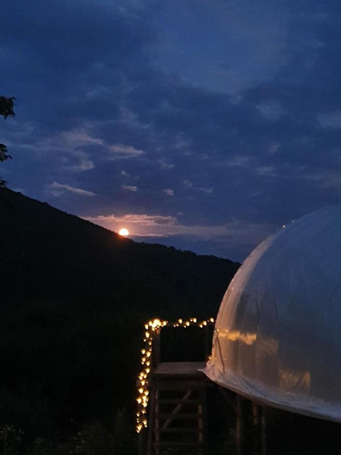 Sunrise Glamping Retreat Hotel Galesu Eksteriør billede