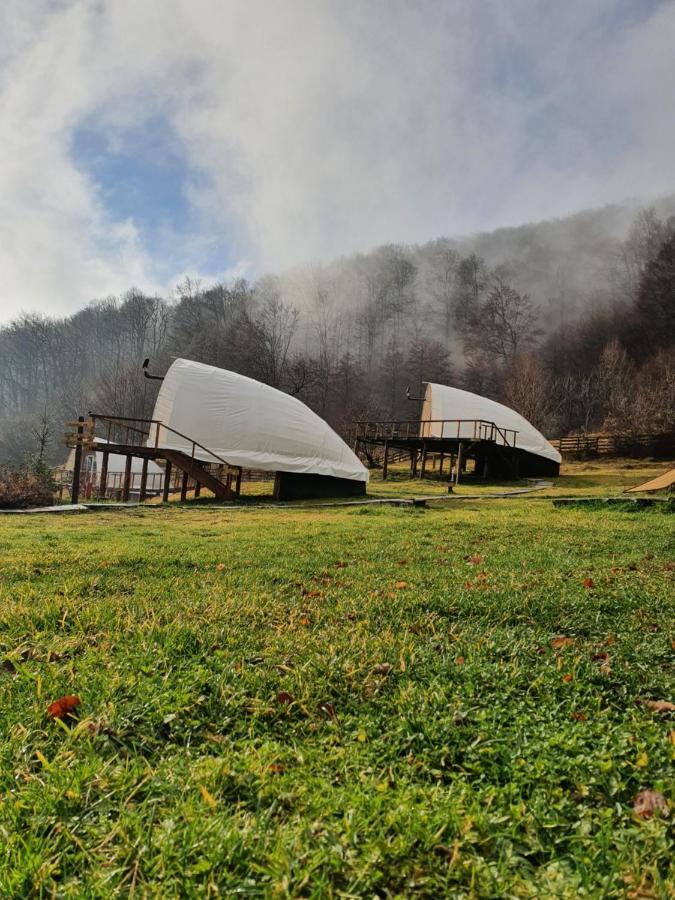 Sunrise Glamping Retreat Hotel Galesu Eksteriør billede