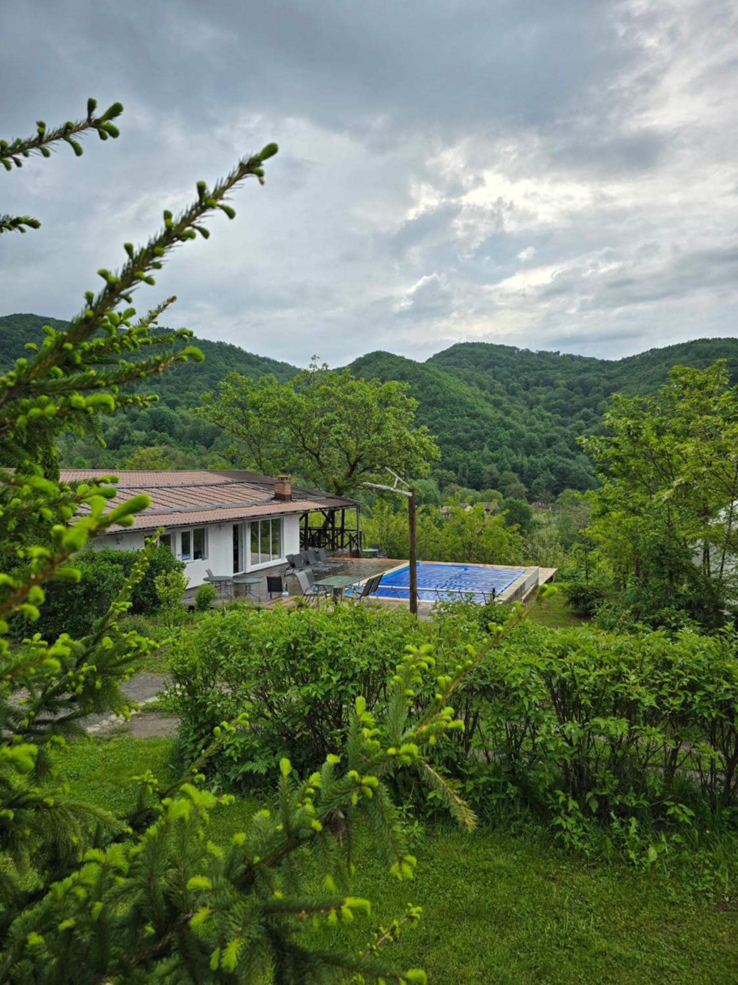 Sunrise Glamping Retreat Hotel Galesu Eksteriør billede