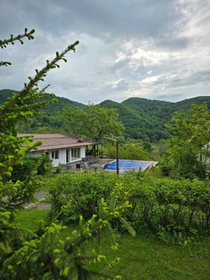 Sunrise Glamping Retreat Hotel Galesu Eksteriør billede