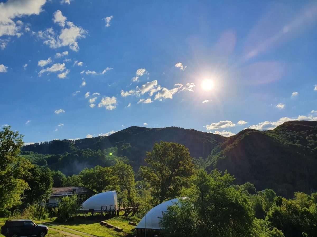 Sunrise Glamping Retreat Hotel Galesu Eksteriør billede